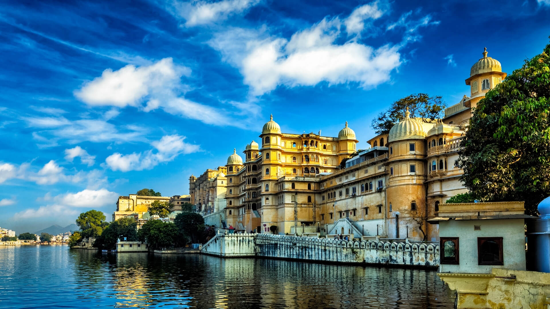 Untitled design (83)